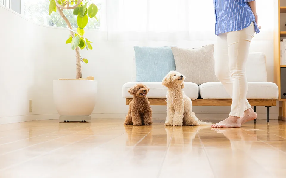 ペット リフォーム